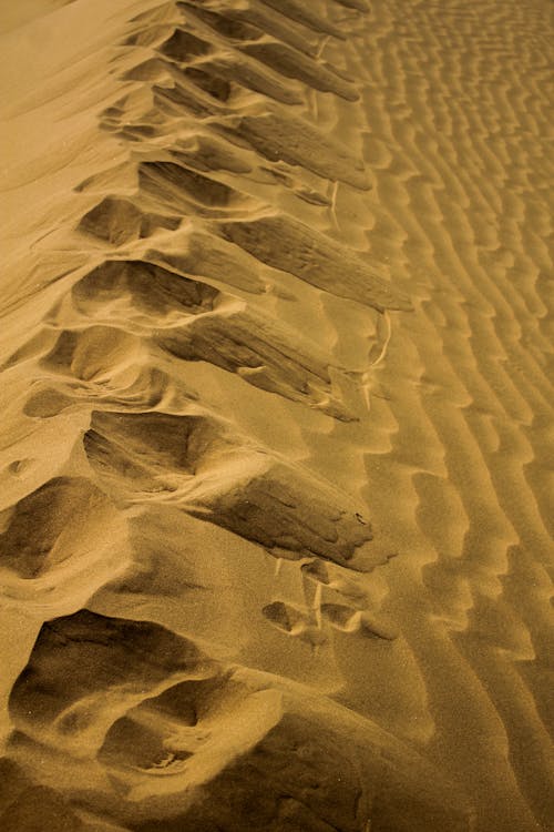 Pattern on a Desert