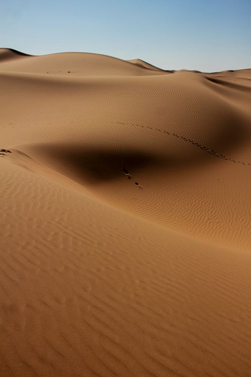 Free Serene desert landscape with smooth sand dunes under a clear blue sky, capturing the essence of solitude. Stock Photo