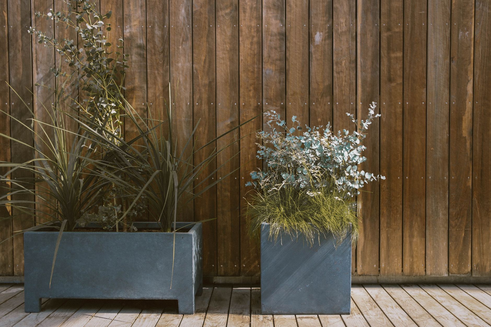 minimalist patio decor for modern homes Modern potted plants against a rustic wooden wall add a blend of nature and design.