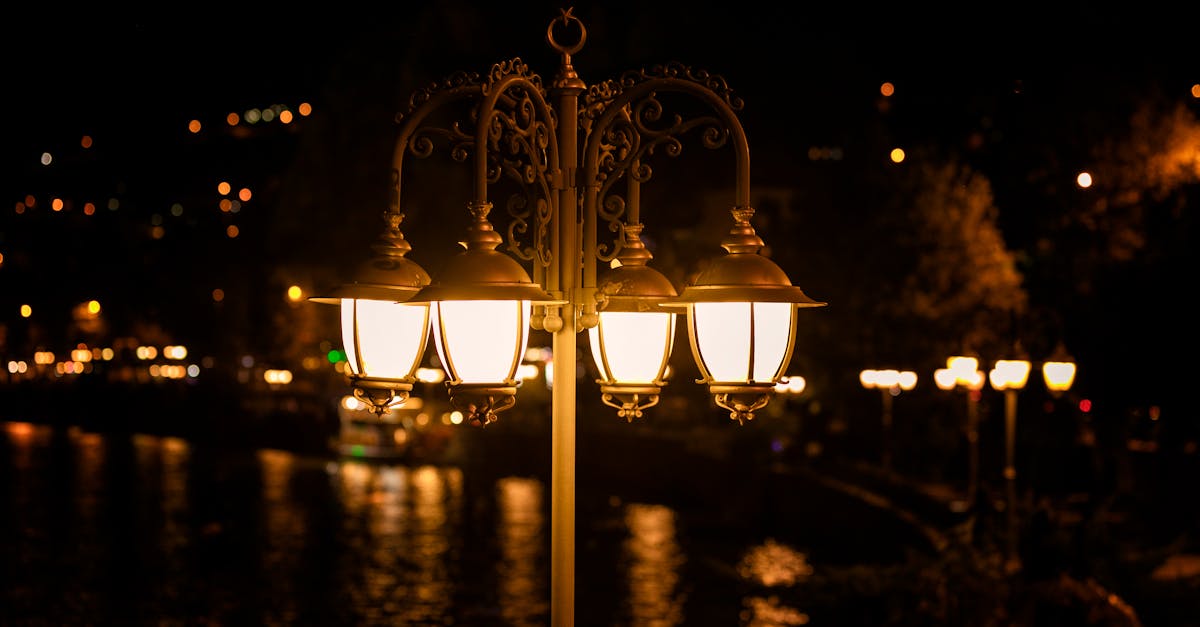 RepostGo Review: The Professional's Tool for Instagram Content Reposting Pexels Photo 13716574