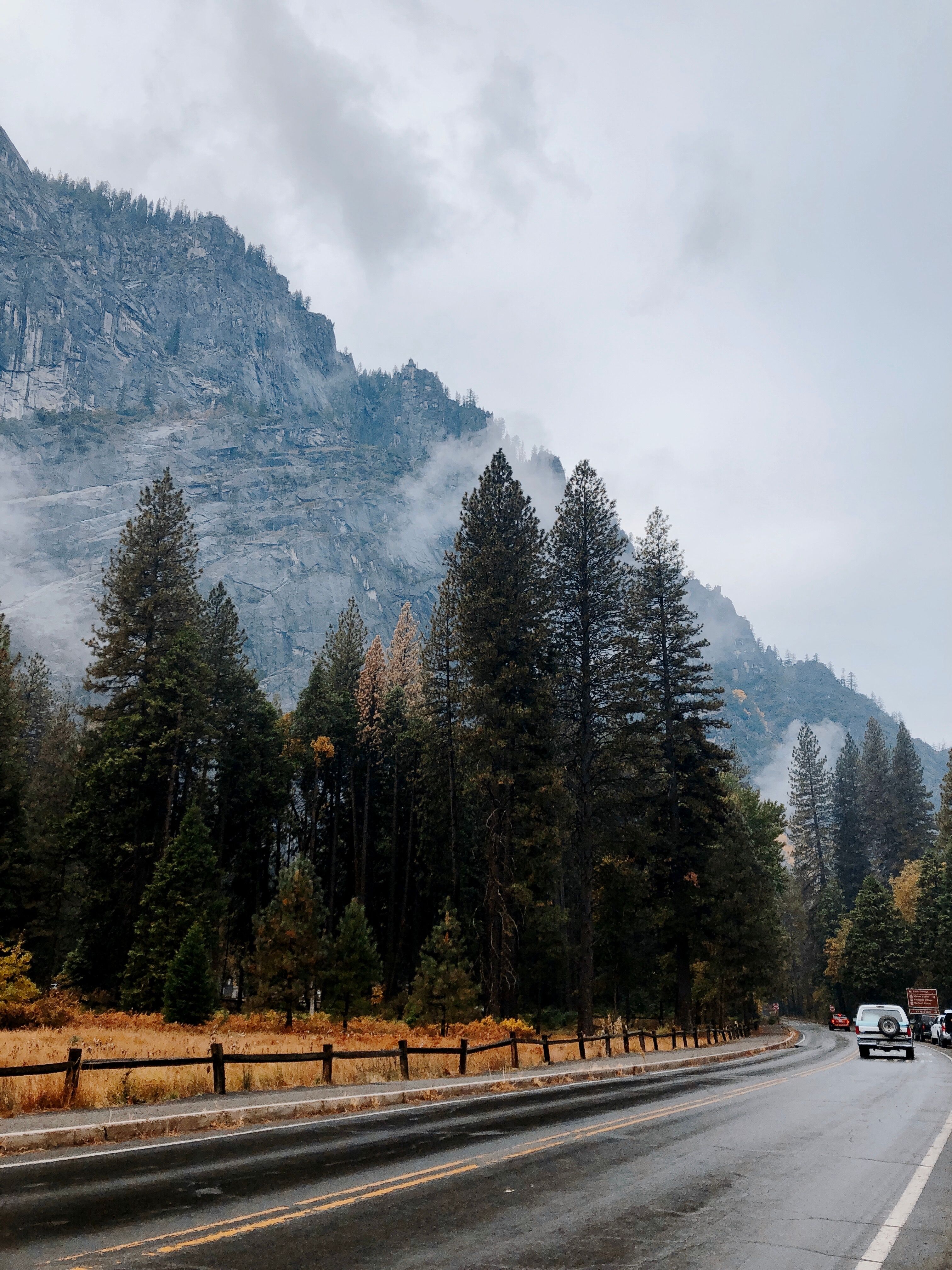 Serene autumn landscape featuring misty mountains, dense forest, and a winding road.