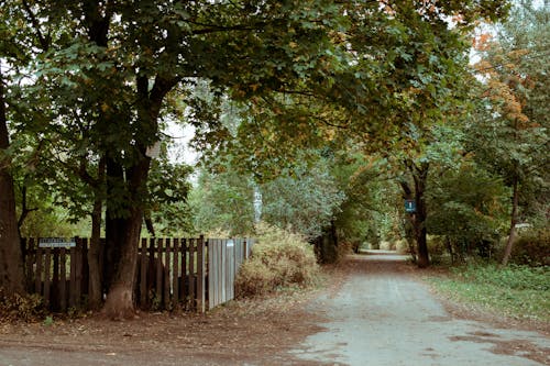 Бесплатное стоковое фото с грязная дорога, деревья, забор