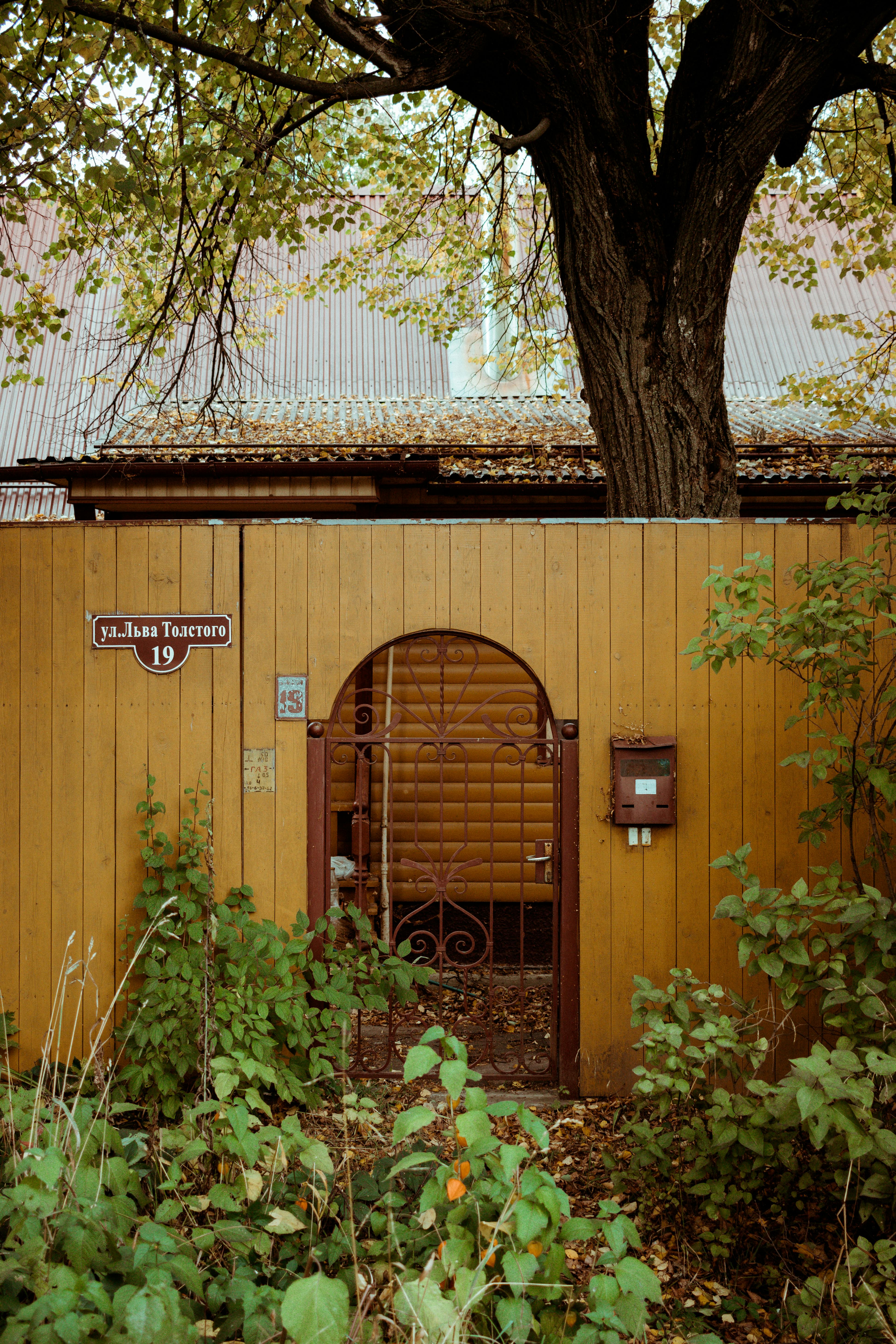 Charming rustic wooden fence with gate beneath a large tree. Captured on a serene autumn day.