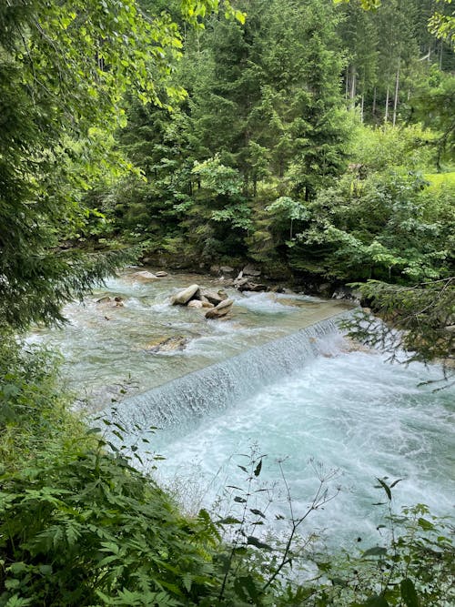 Foto profissional grátis de água, árvores, cachoeira