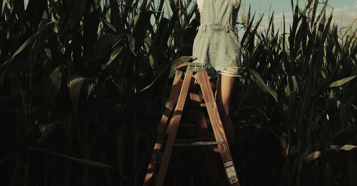 How to peel corn easily