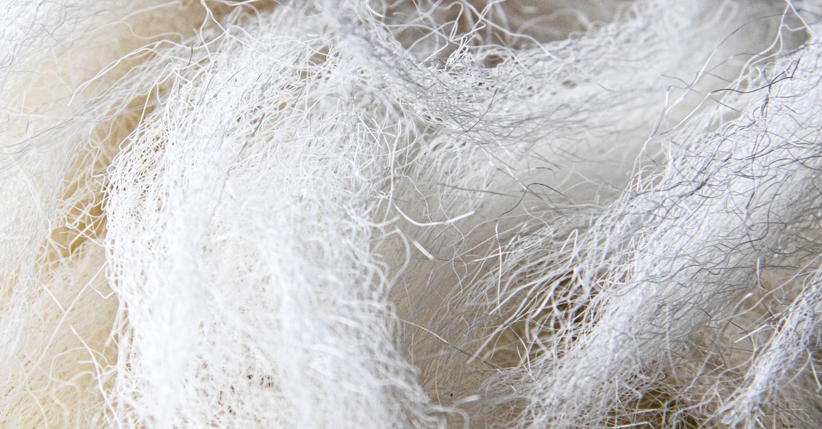 White Thread Cuts Close up of White Thread · Free Stock Photo