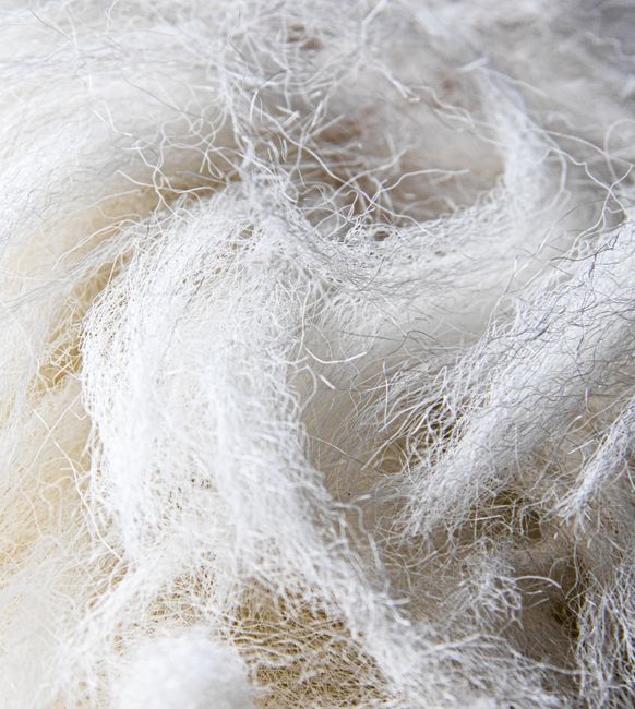 A close-up shot highlighting the texture and weave of a high-quality rug, showcasing craftsmanship.