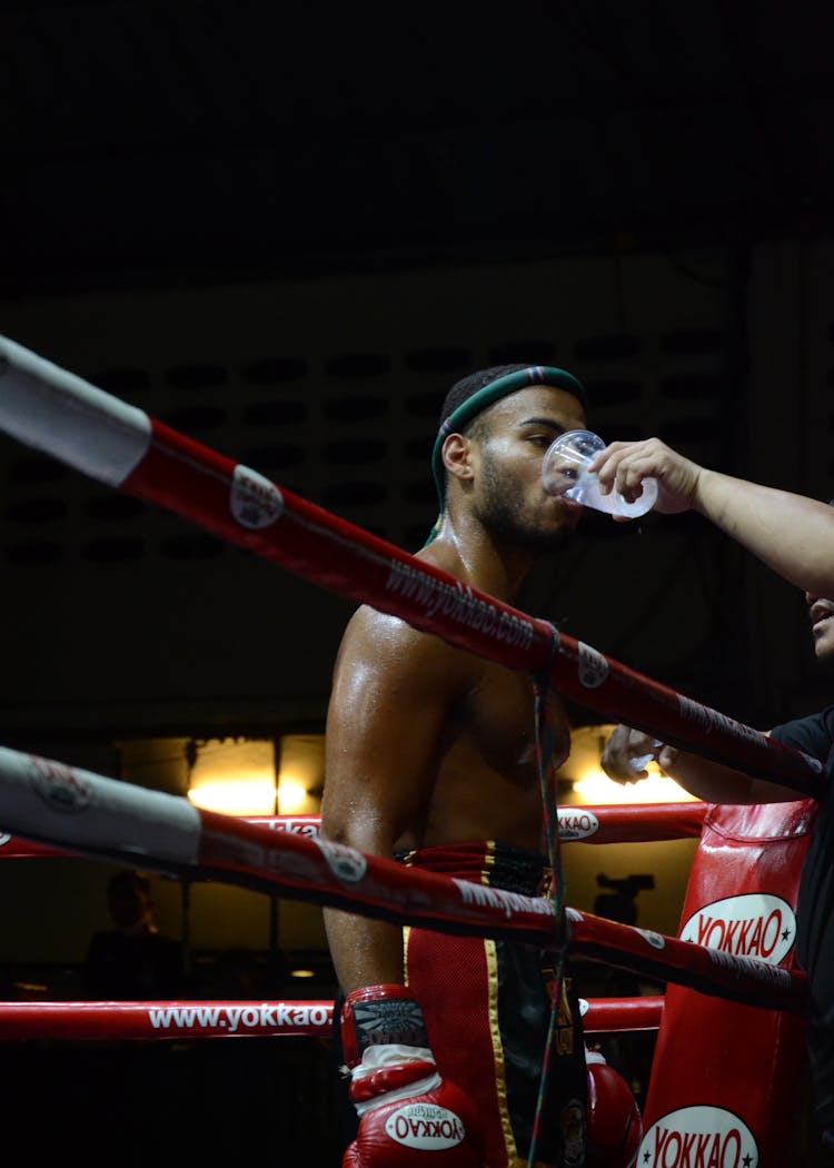 Boxer Drinking Water On Ring