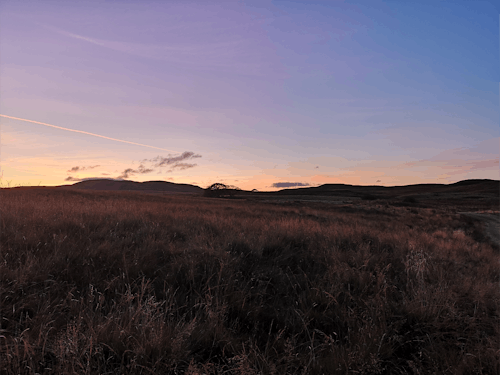 Free stock photo of beauty, dusk, field