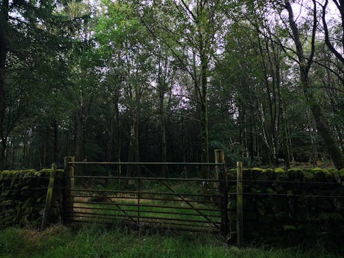 Woodland entrance