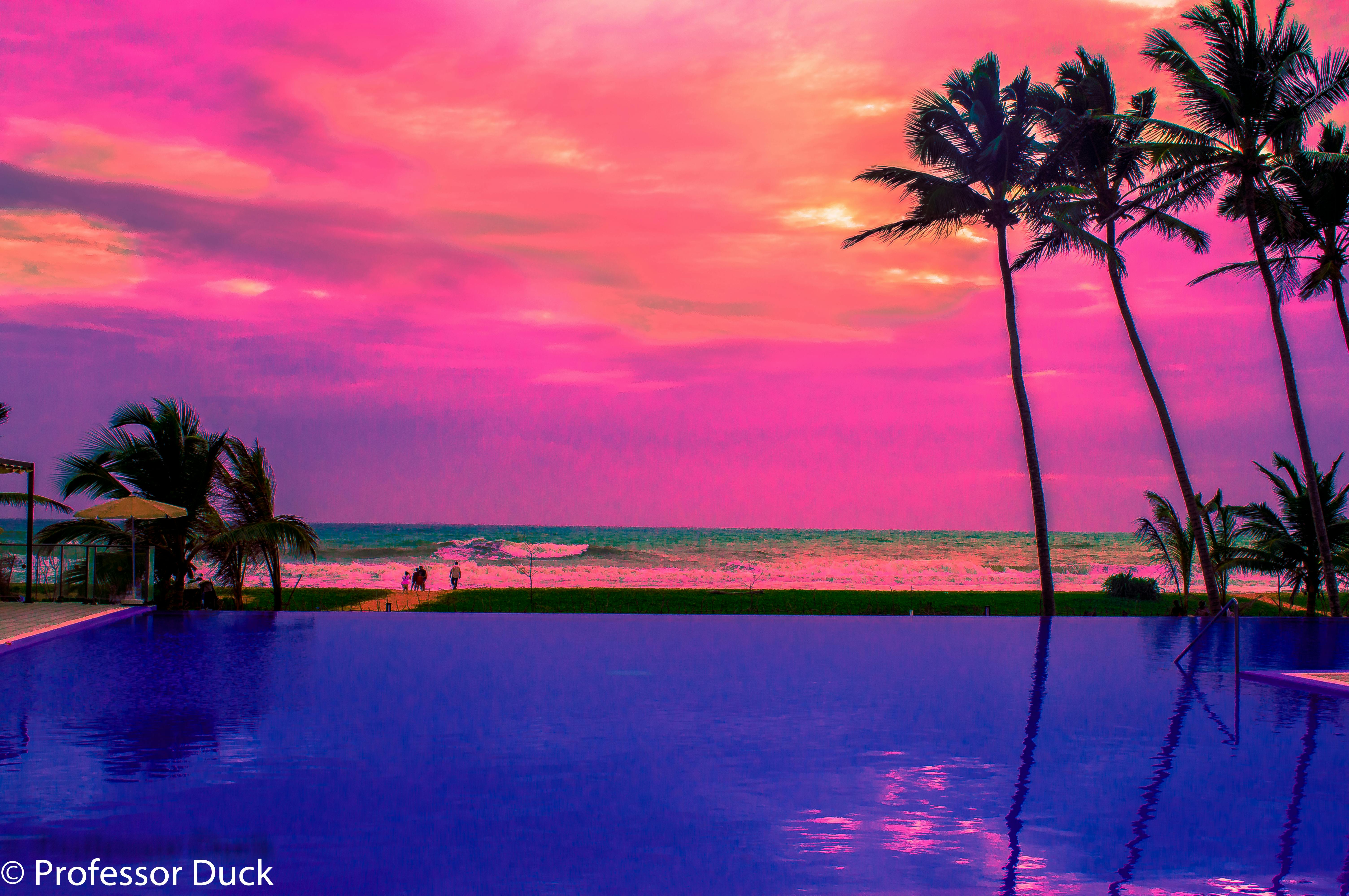 Free stock photo of beach view, poolside beach view, purple