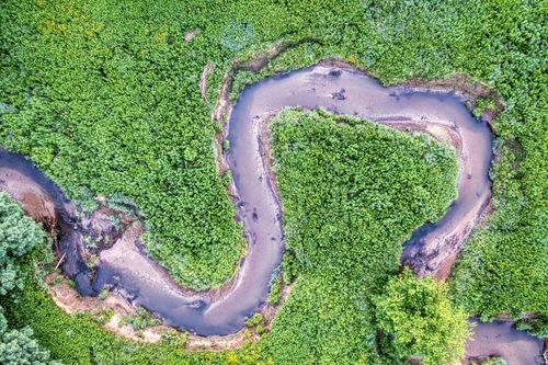 Free Stunning aerial view of a winding riverbend surrounded by lush greenery in Minnesota. Stock Photo