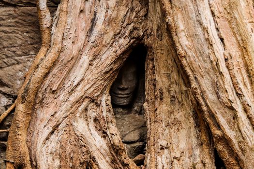 temple angkor wat