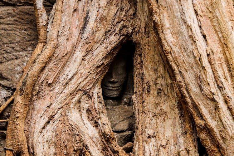 Temple Angkor Wat