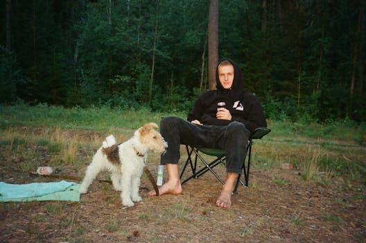 一名男子带着狗，在森林的露营椅上放松身心，享受户外活动