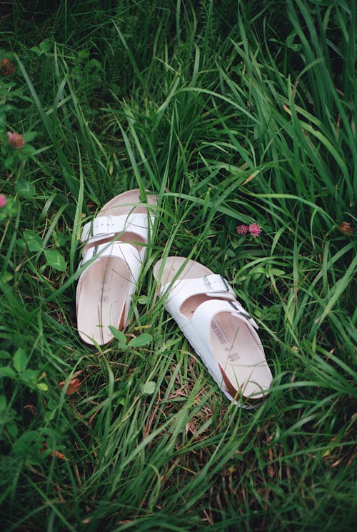 Slippers on Green Grass