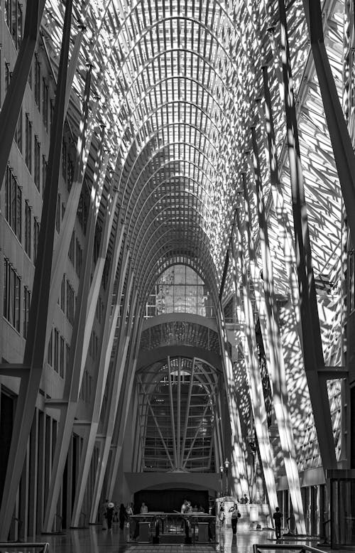 Immagine gratuita di allen lambert galleria, architettura moderna, bianco e nero