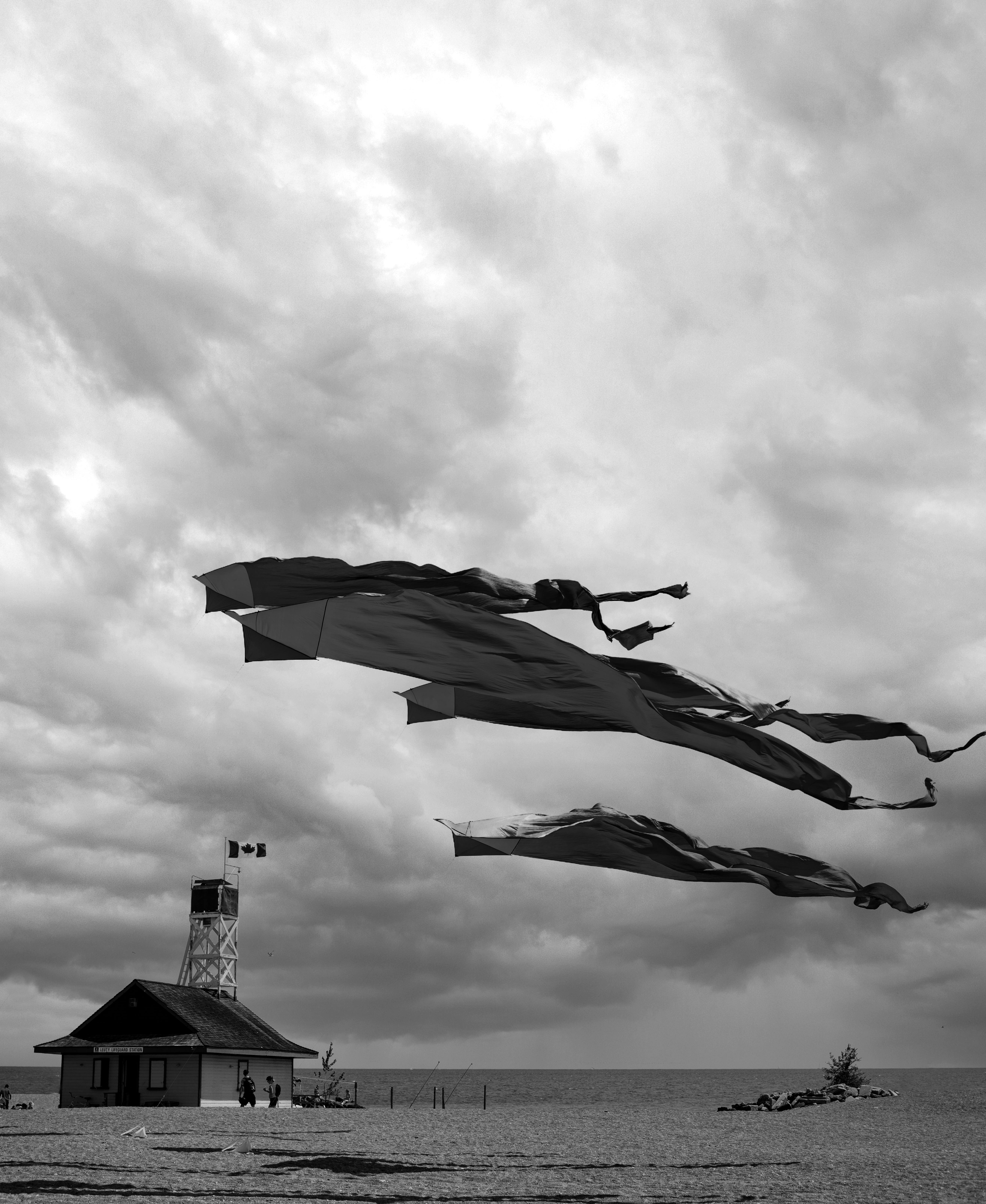 Kites over a Farm · Free Stock Photo
