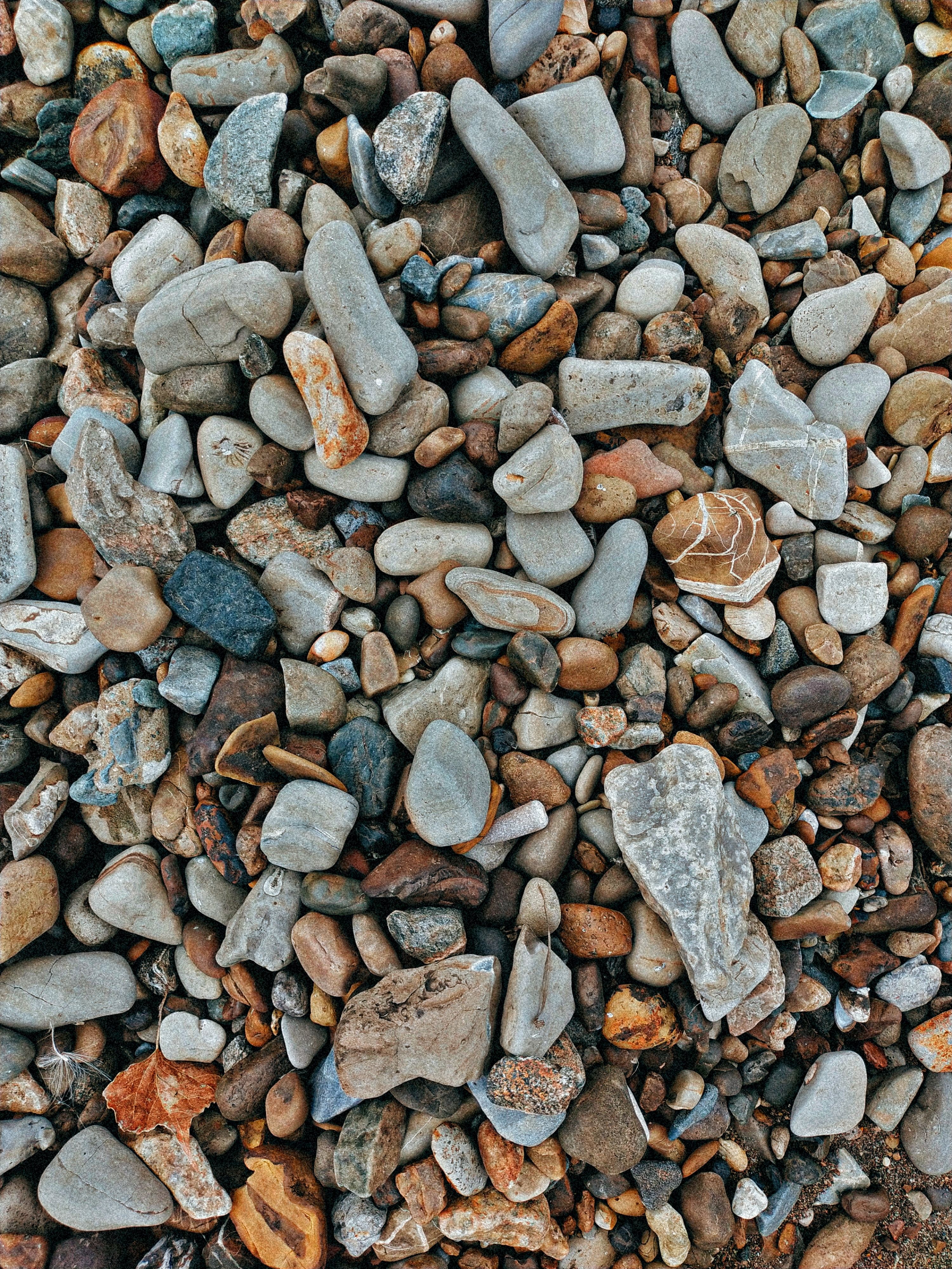 Background Texture of Garden Pebbles and Rocks · Free Stock Photo