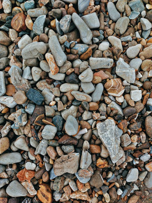 Background Texture of Garden Pebbles and Rocks