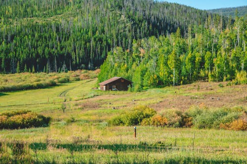 Photos gratuites de arbres, cabine, campagne