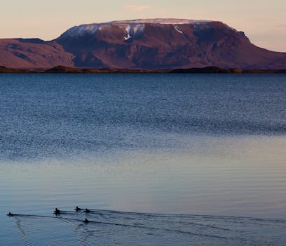 A tranquil scene of a lake with ducks gliding and a snow-capped mountain at dawn.