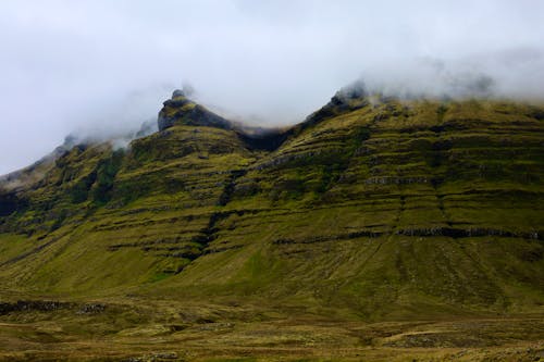 Grass on a High Mountain with a Fog on the Top