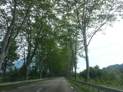 Free stock photo of route, traveling, travelling Stock Photo