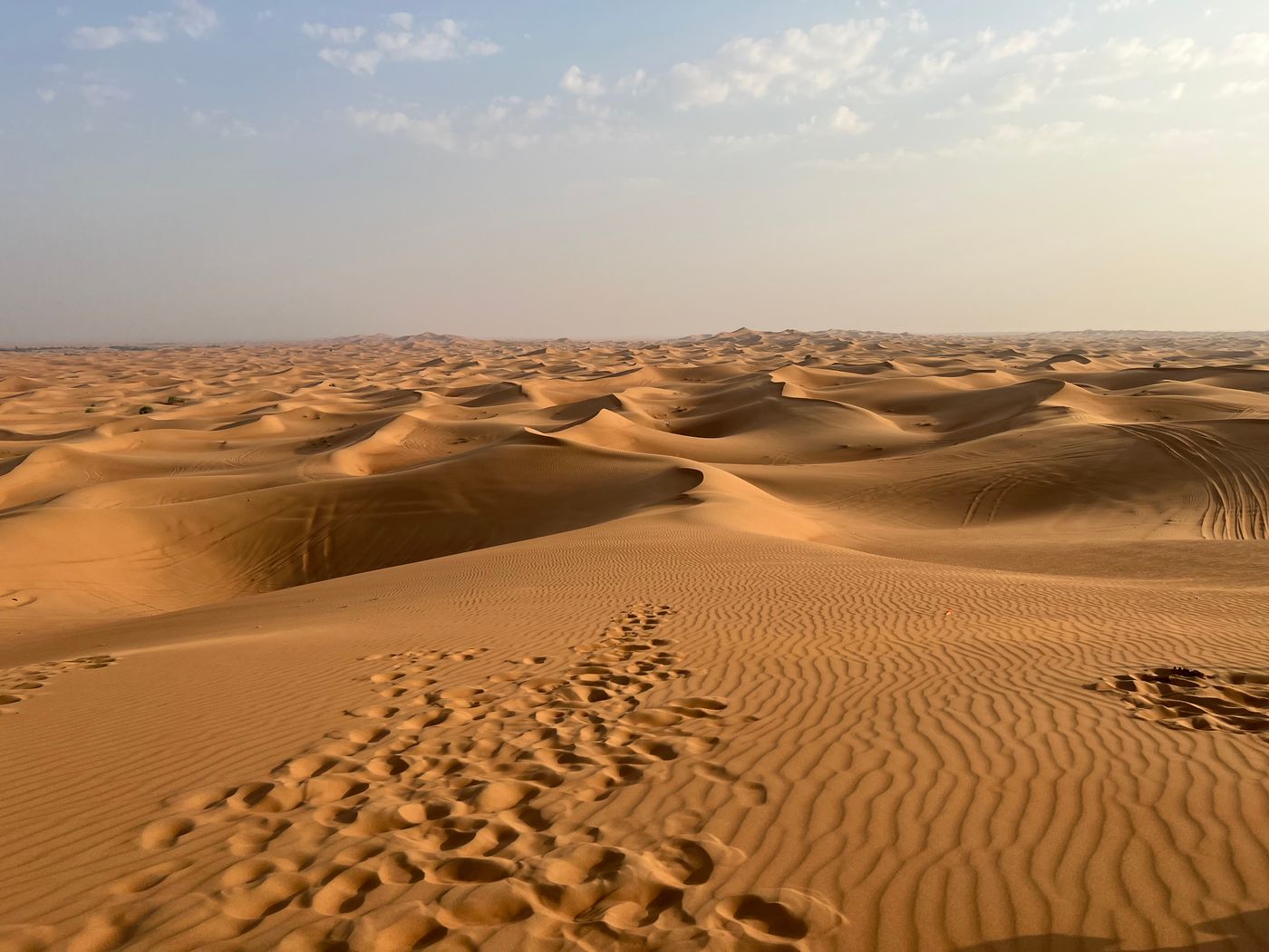 Sand dunes in the Dubai desert at sunrise