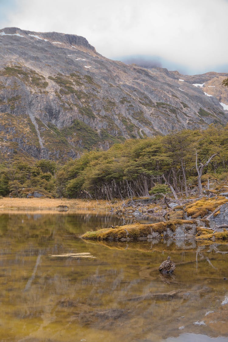 A Scenic Shot Of Ushuaia, Argentina