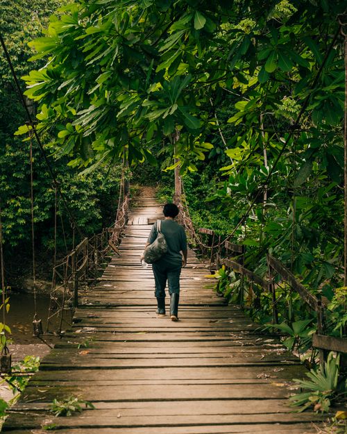Free An individual walks across a rustic wooden bridge in Apartadó, Colombia, surrounded by lush jungle greenery. Stock Photo