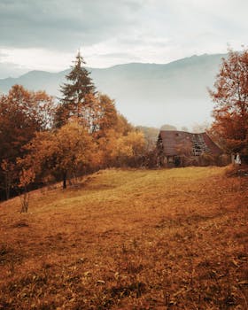 Serene autumn landscape featuring an old cabin amidst colorful trees.