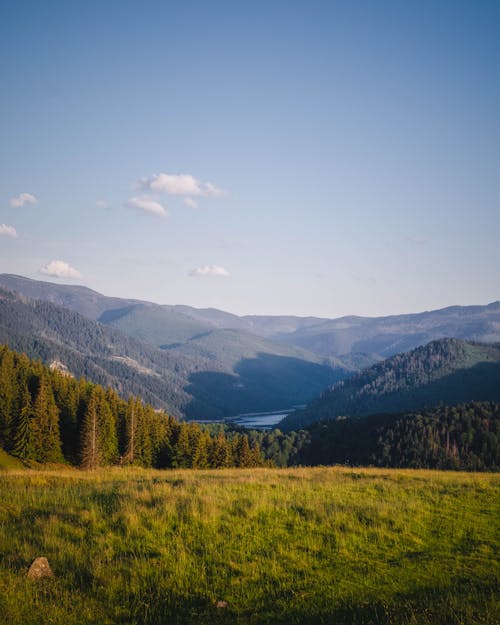 A Green Grass Field with Trees Near the Mountains Under the Blue Sky