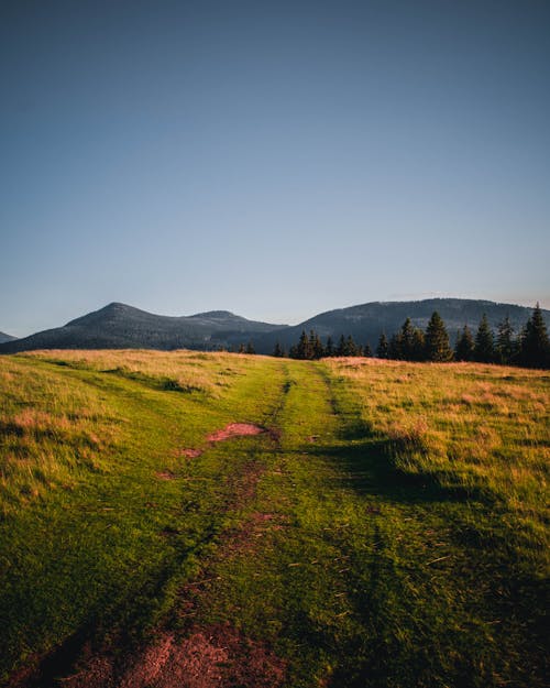 Free A Scenic Landscape with a Mountain View Stock Photo