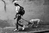 一名男子在城市人行道上遛狗，黑白照片捕捉了城市的生活方式