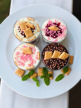 Delicious assorted puddings topped with colorful sprinkles and biscuits, presented elegantly on a white plate.