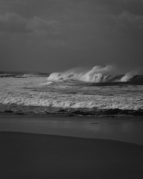 Grayscale Photo of a Beach