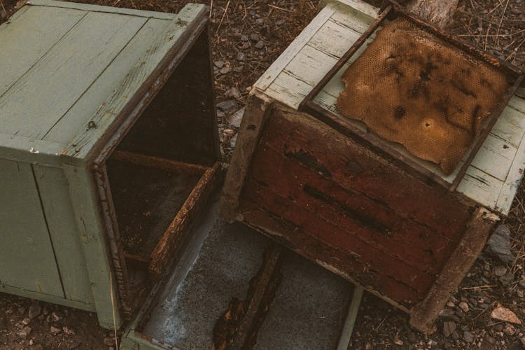 Abandoned, Wooden Beehives