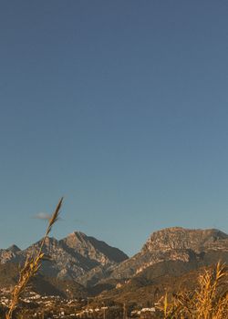 Tranquil mountain range scene with clear blue sky and natural vegetation in view.