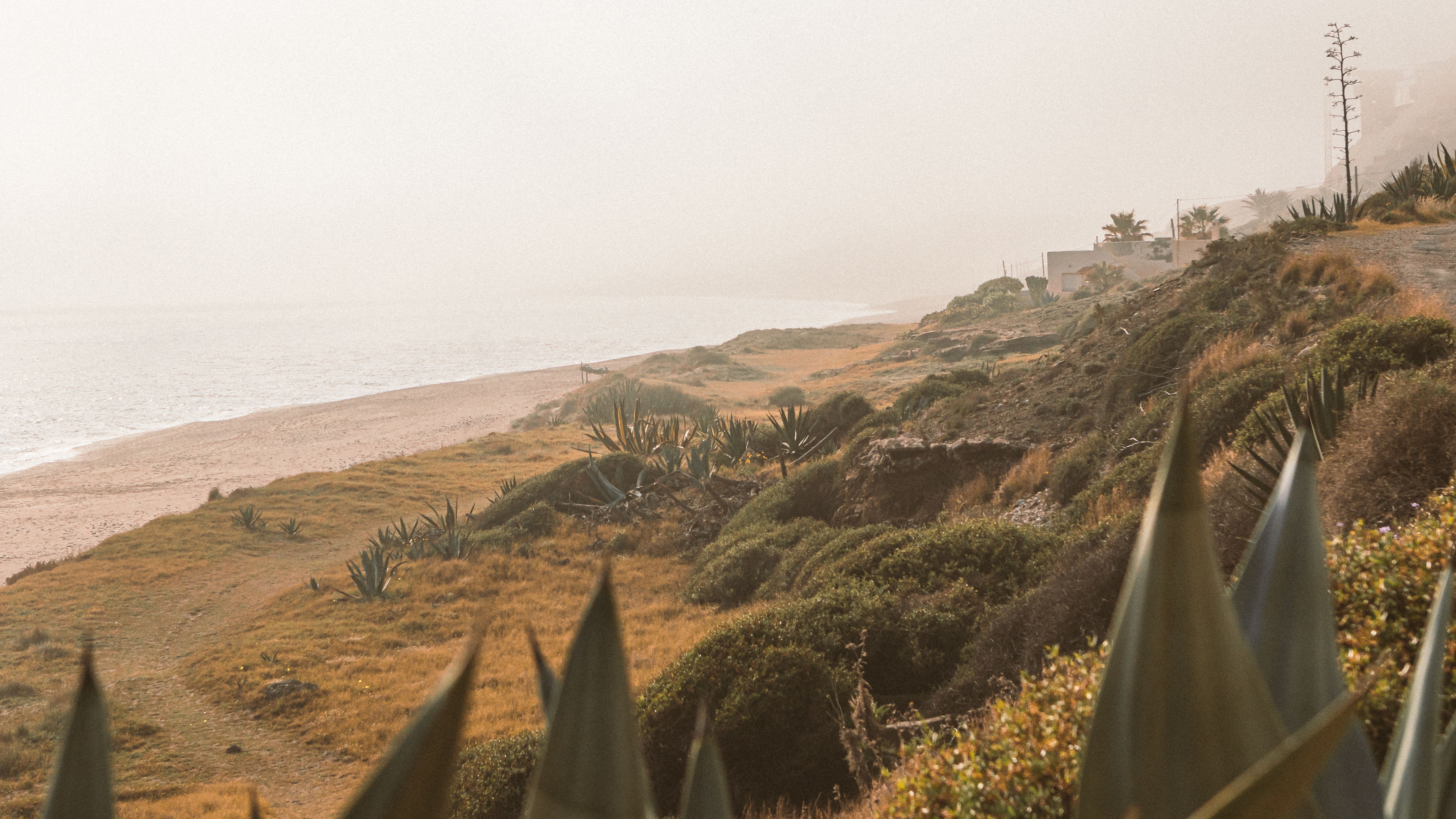 MND Local: How Los Cabos is positioning itself as a ‘second stop’ destination for World Cup travelers — Photo by Andreas Ebne
