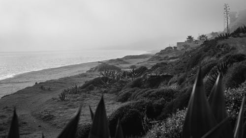 Black and White Photo of a Beach 