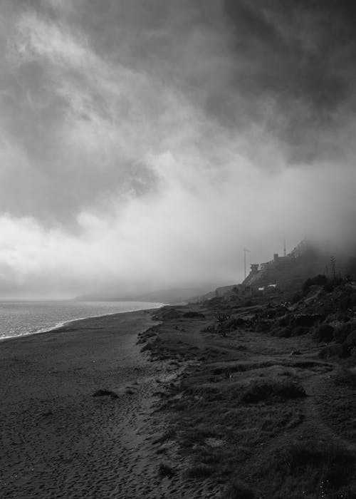Grayscale Photo of a Beach Shore Covered with Fog