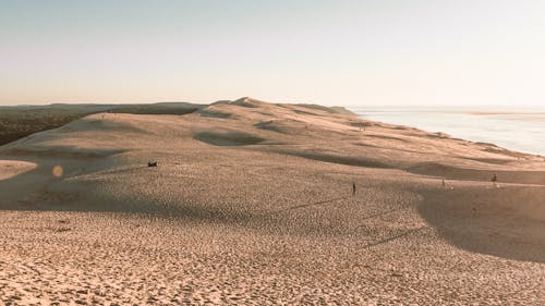People Walking on Dunes