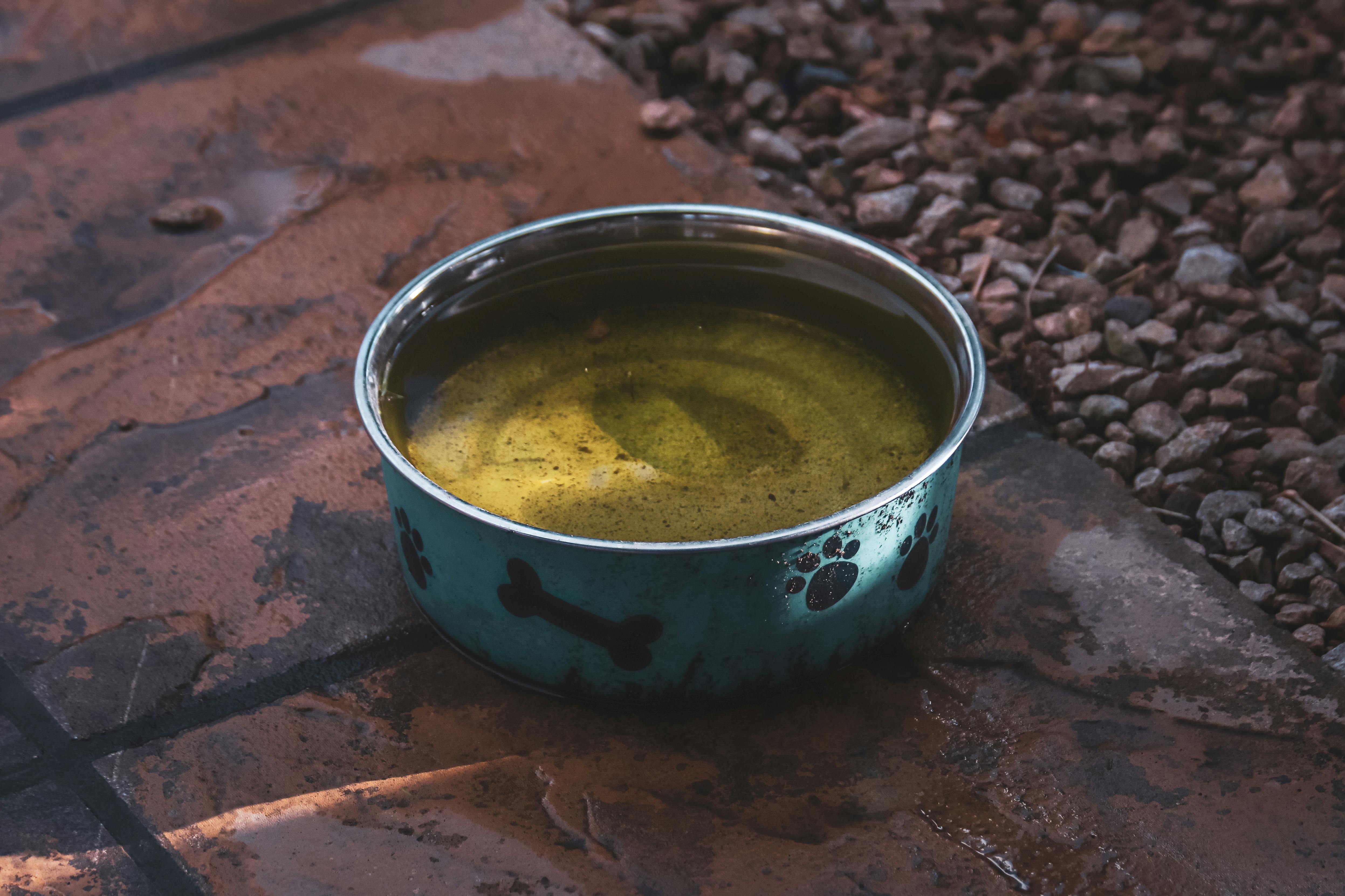 specialty diets specialty diesel services — Photo by Boys in Bristol Photography on Pexels