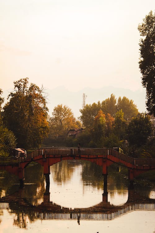 Photos gratuites de arbres, fleuve, pont