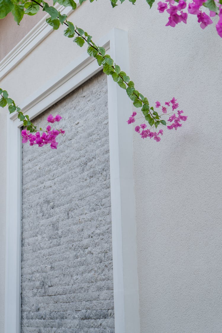 Flowers And Leaves On Twigs Hanging Over White Wall