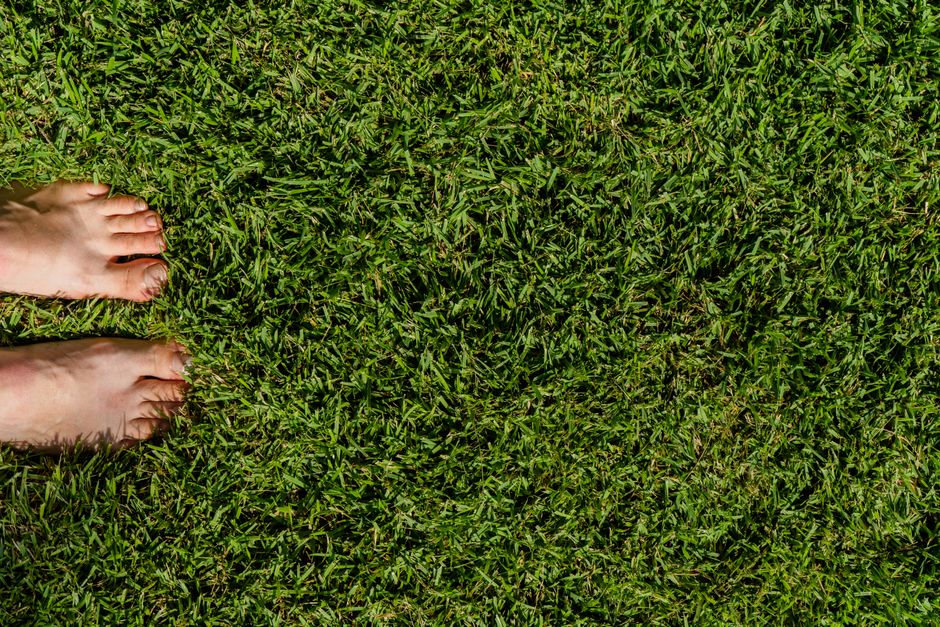 Close-up view of bare feet standing on vibrant green grass in a sunny outdoor setting.