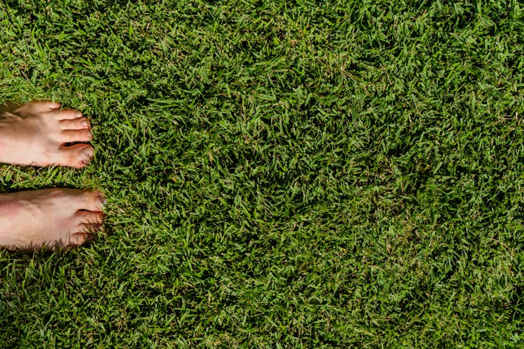 A Person's Feet On Green Grass