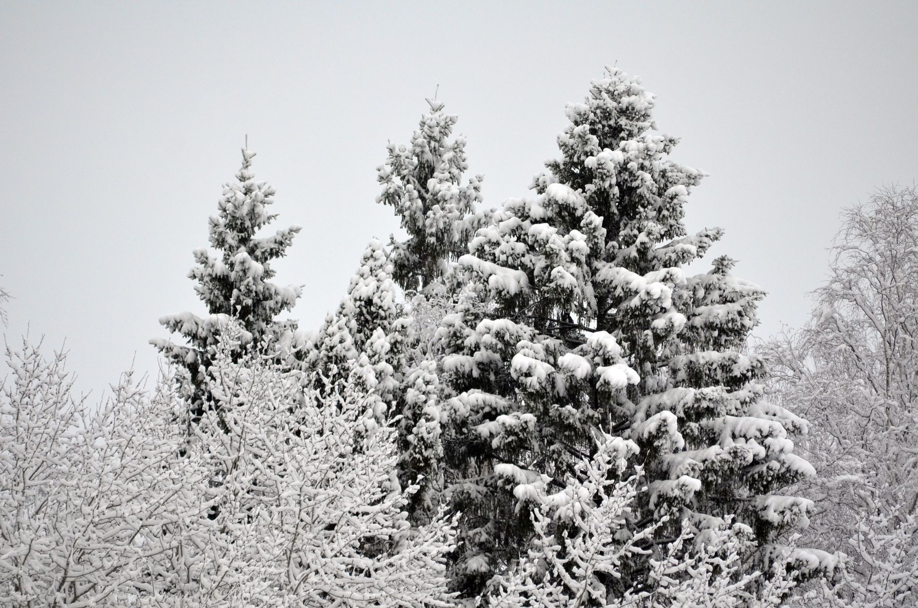 La montagne à Fred