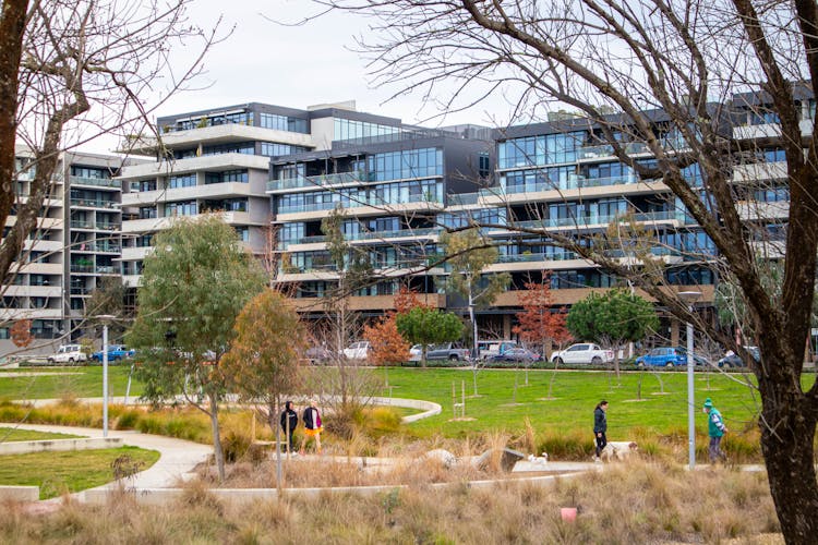 People Walking In The Park